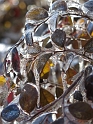 DFW-IcePocalypse-2013_Thaw (43)